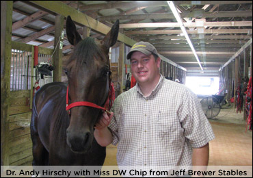 Hirschy Enjoying Life With Equine Athletes