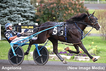 Trotting Fillies Shine At Mohawk