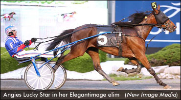 Elegantimage, Armbro Flight Fields Set