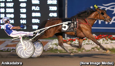 Grassrooters Prepare For 'Playoffs'