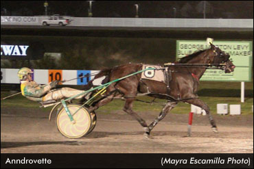 Matchmaker Series Continues