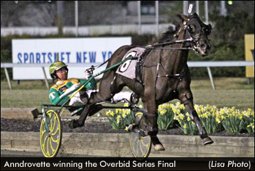 Anndrovette Lowers Overbid Record