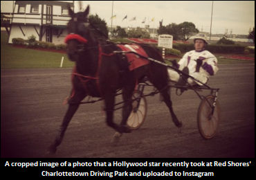 Hollywood Star Takes In CDP Action