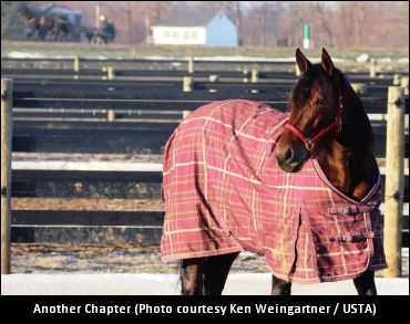 Farber Seeks ‘Another Chapter’