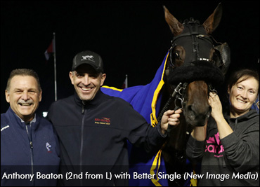 Horses Over Fishing And Hockey