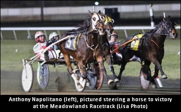 ‘A-Nap’ Enjoying Winter Racing