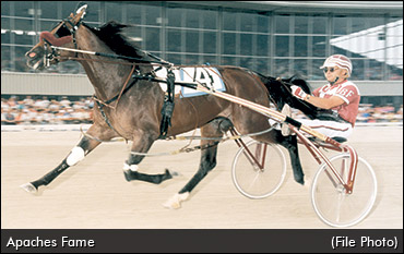 Apaches Fame Passes