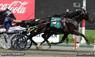 Oscarsson High On Aperfectyankee