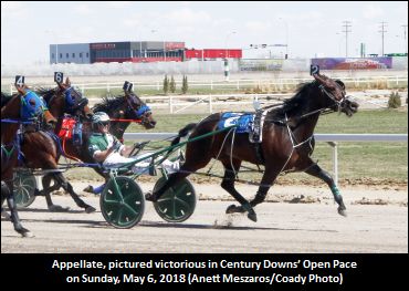 Century Open To Appellate; Accident Update