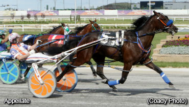 Appellate Swoops For 'Team Campbell'