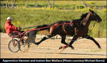 Brad Grant's Drive And Desire