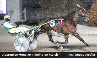 Eight Straight For 'Apprentice'