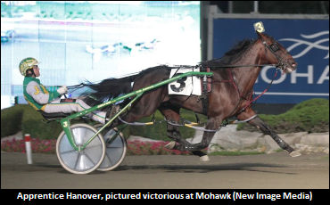 Wallace High On Apprentice Hanover