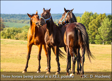 April's Calendar Photographer