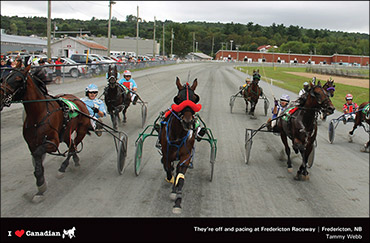Meet April's Calendar Photographer