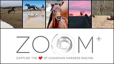 April Zoom Poll Now Open!