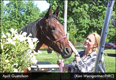 Gustafson Is Hooked On Horses