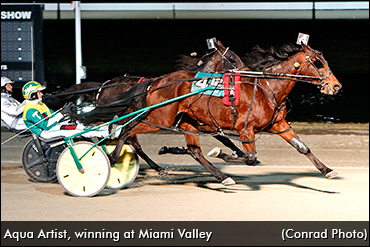 Mare Prefers Racing To Breeding