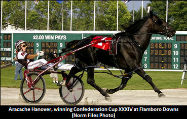 Aracache Hanover, One More Laugh Supplemented To Cleveland Classic