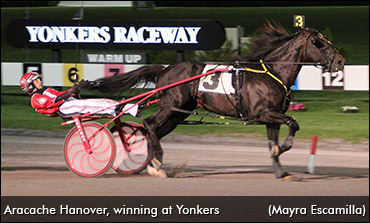Twelve To Gold Cup And Saucer