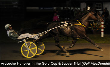 Aracache Hanover Wins First Trial