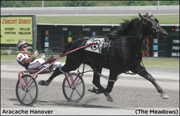 PASS Record Falls To Panesthetic, Aracache Hanover