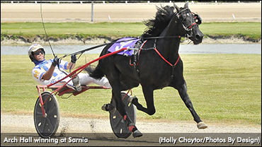 Arch Hall Seeks Sarnia Score