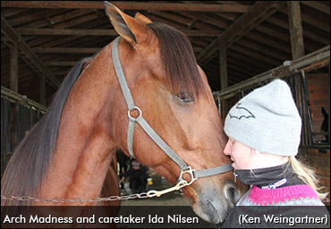 A Harness Racing Fairytale Story