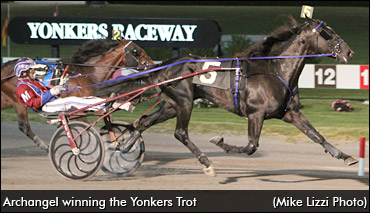 Archangel To Blue Chip