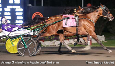 Ariana G Upsets In Maple Leaf Trot Elim