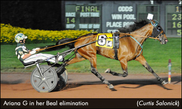 Exciting Elims For Sun Stakes Saturday