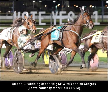 Little Movement On Standardbred Poll