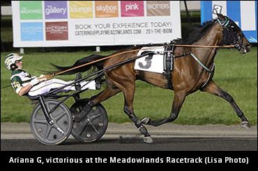 Hambletonian Oaks Elims Set
