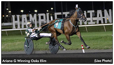Hambletonian Oaks Elims Complete