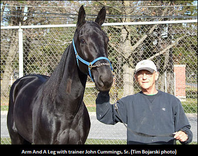 Arm And A Leg To Be Honoured
