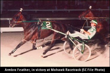 Armbro Feather Passes