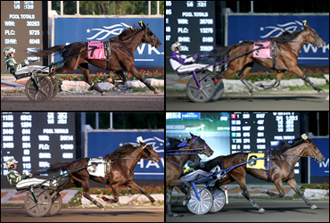 Fields Set For Armbro Flight, Goodtimes