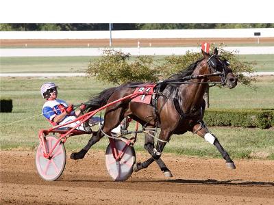 Tattersalls Triumph For Art Official