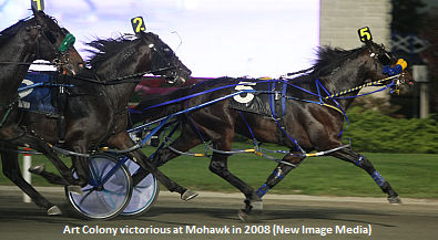 Coleman On Art Colony