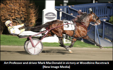 Art Professor To Molson Pace