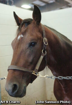 Beer Drinking Pacer A Dark Horse?