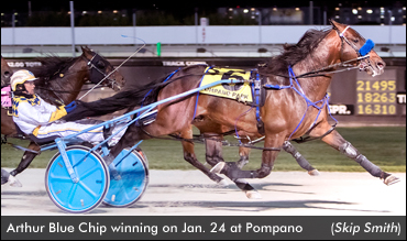 Arthur Blue Chip Delivers In Open