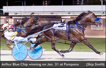 Arthur Blue Chip Repeats In Open