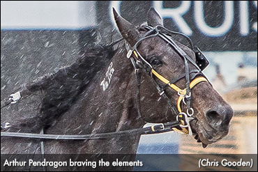 Arthur Pendragon Leads Spring Sale
