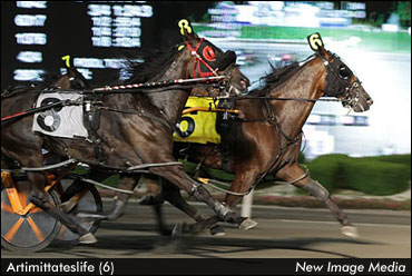 Artimittateslife Retires