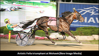 Artistic Fella Stud Fee Announced