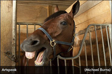Is Artspeak The Heir Apparent?