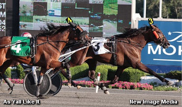 MacDonell Dominates The In Free 