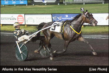 Hambo Champs Win At The Meadowlands Hambo Champs Win At The Meadowlands