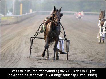 Hambletonian Maturity Attracts 11